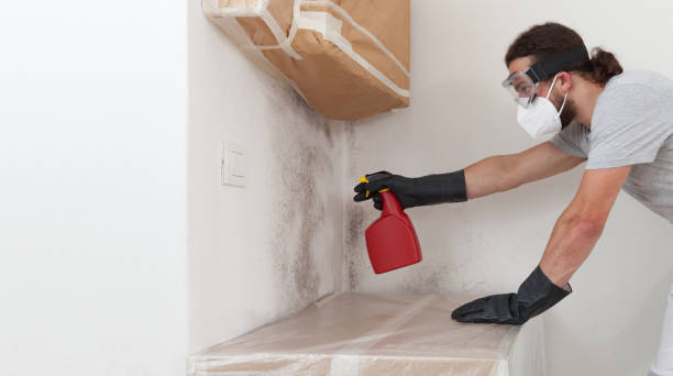 Professional Crawl Space Mold Removal technician working in Hudson, NY