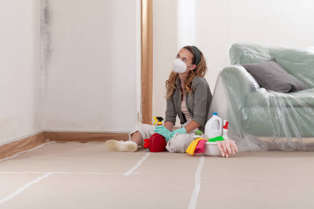 Reliable Crawl Space Mold Removal contractor in Hudson, NY by WQB Mold Removal